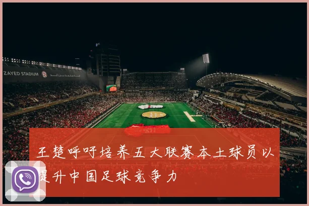 王楚呼吁培养五大联赛本土球员以提升中国足球竞争力